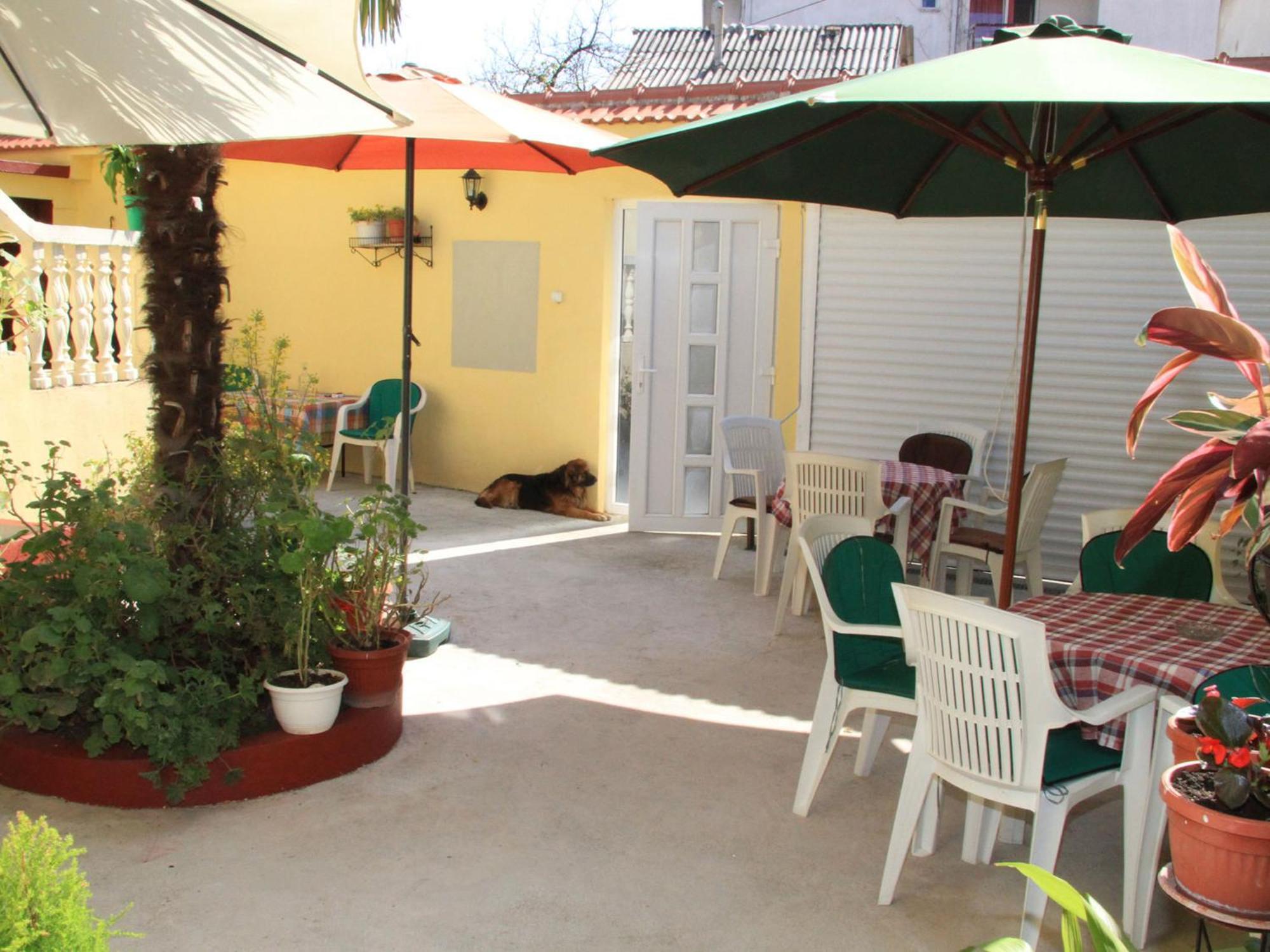 Hostel David موستار المظهر الخارجي الصورة