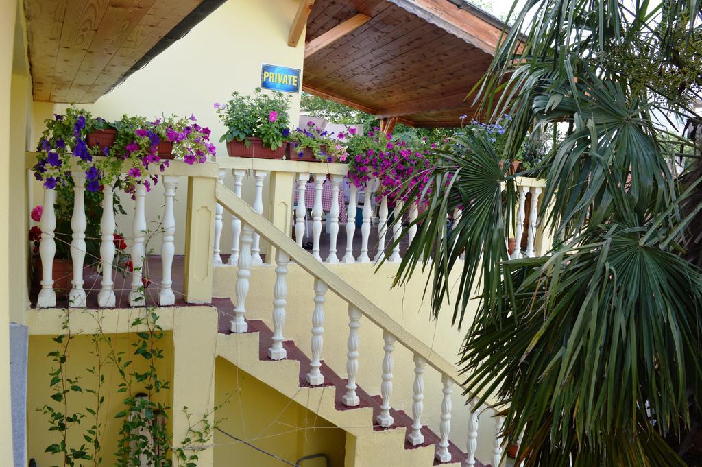 Hostel David موستار المظهر الخارجي الصورة